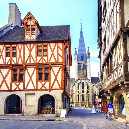 L'authentique I Centre Historique Charme Colombage Lejlighed Dijon