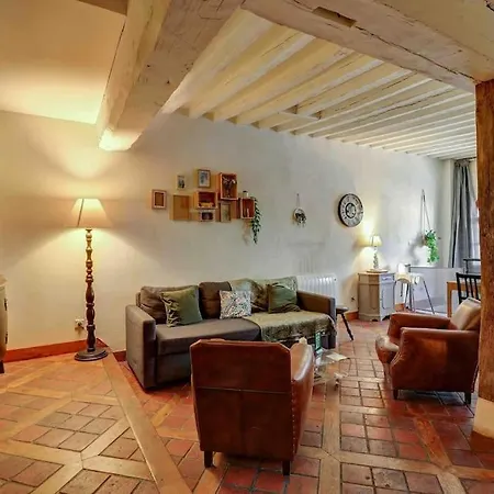 L'authentique I Centre Historique Charme Colombage Lejlighed Dijon
